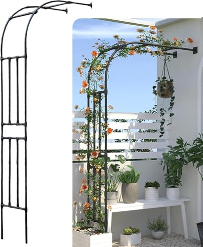 Arche de Jardin Demi-côté, tonnelle de Jardin Robuste, Cadre en Acier, Demi-Arc pour Plantes grimpantes of(Size:40 x 180 x 240cm)