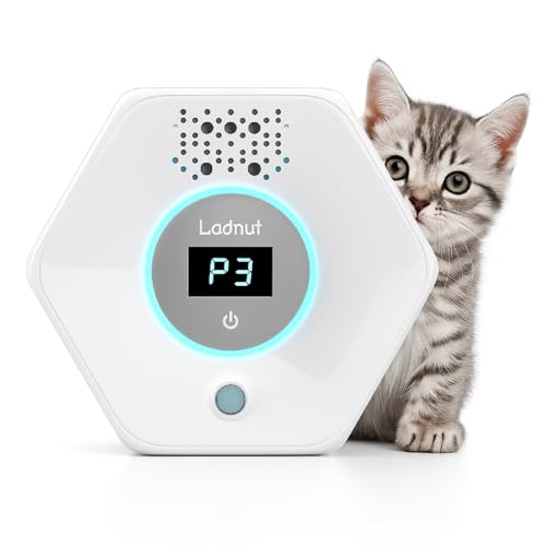 Cat Litter Odor Eliminator