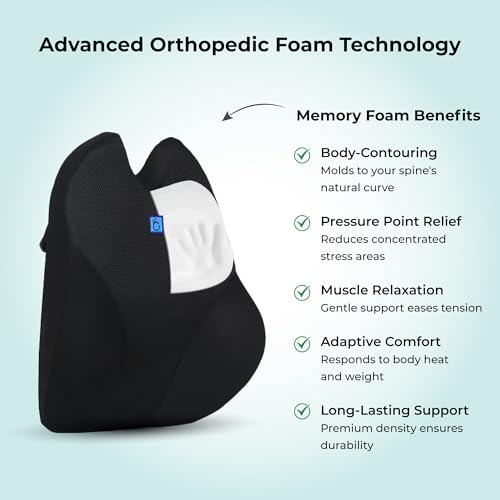 Image of Back Support for Office Chair | 5-Yr-Warranty | Premium Memory Foam Lumbar Support Pillow | Orthopedic Backrest for Lower Back Pain Relief | Ergonomic Desk Chair & Car Cushion (Large)(Black)