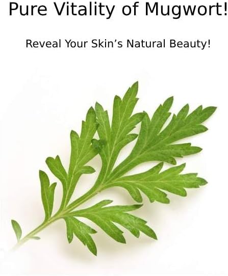 CHARMZONE Mugwort Skin The Original 4.06oz - Made with Mugwort Extract, Refreshing and Nourishing for Hydrated Skin - Image 2