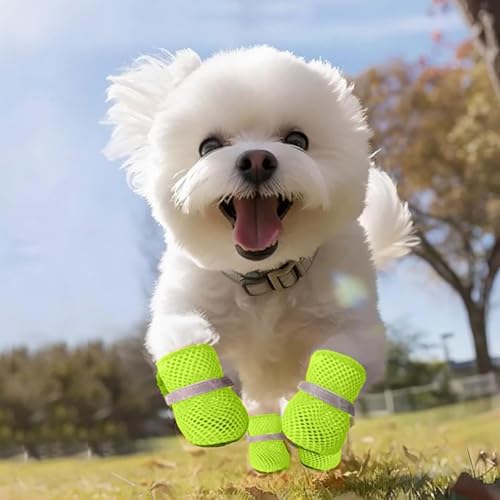 Sommer Mesh Hunde Schuhe 4 Stück Atmungsaktive Pfotenschutz Hundeschuhe Anti-Rutsch Hundeschuhe für heiße Sommerböden, Sommer Hundeschuhe Pfotenschutz Verstellbarem fürkleine Hunde (Grün, M)