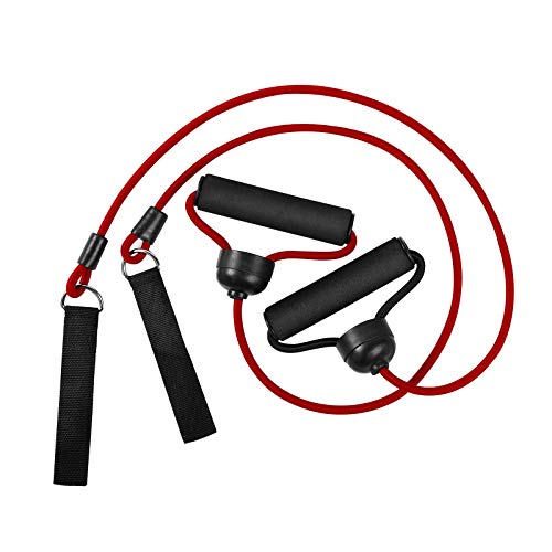 FBSPORT Weight Bench, Adjustable Strength Training Workout Bench , Bench Press for Home Gym Full Body Exercise, Incline Decline Weight Bench Foldable Workout Bench with Bands, Red