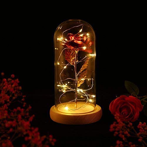 PREUP Beauty and The Beast Rose, Forever Rose Flowers Light in Glass for Girl/Friend/Women/Mother/Valentines/Anniversary/Birthday/Christmas/Wedding/Home/Office Decorations