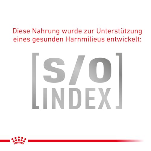 Royal Canin Veterinary Gastrointestinal | 4er Pack | 4 x 400 g | Trockenfutter für Katzen | Kann unterstützend helfen bei gastrointestinalen Erkrankungen bei Katzen | Hohe Akzeptanz