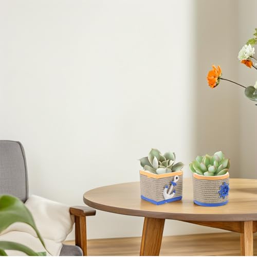 Pots pour succulentes en ciment : la solution déco compacte sans fuite