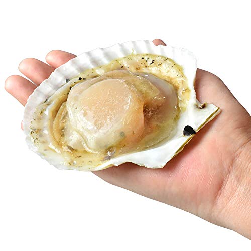 シーフード本舗 ホタテ片貝 20枚 殻付き 北海道産 BBQ 浜焼き 帆立 ほたて 片貝 貝柱 バーベキュー の商品画像 1