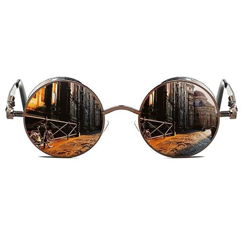 ROCKNIGHT Gothic Steampunk Round Polarized Sunglasses