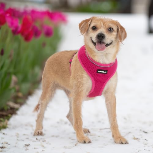 Image of Best Pet Supplies Voyager Aerolite Over the Head Dog Harness, No Pull Breathable Air Mesh Vest, Quick Dry with Reflective Stitching, Adjustable Escape Resistant Harness - Fuchsia, Small