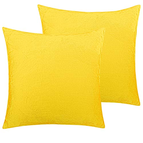 Image of NTBAY Velvet 2 Pack Square Zippered Throw Pillow Covers, Super Soft and Luxury Euro Cushion Covers for Sofa, Couch, 16x16 Inches, Yellow
