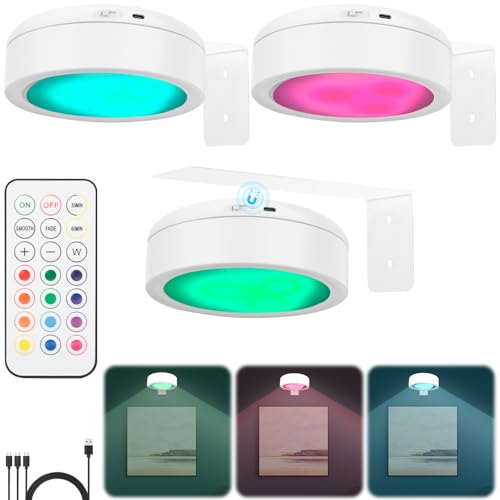 Image of Picture Lights for Wall, 2000mAh Rechargeable Battery Magnetic Poster Lights with 2 Color Modes&13 RGB, Dimmable Timer Painting Light, Wall Decor Light for Art Display and Picture