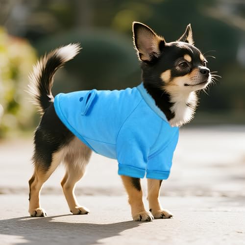 Image of Blue Cute Dog Sweater Soft Winter Clothes for Small Dogs, M | Classic Blue Knit Pullover, Fall Winter Outfit, Elastic Cuffs, Holiday Party Matching, Machine Washable Sweatshirt for Pets