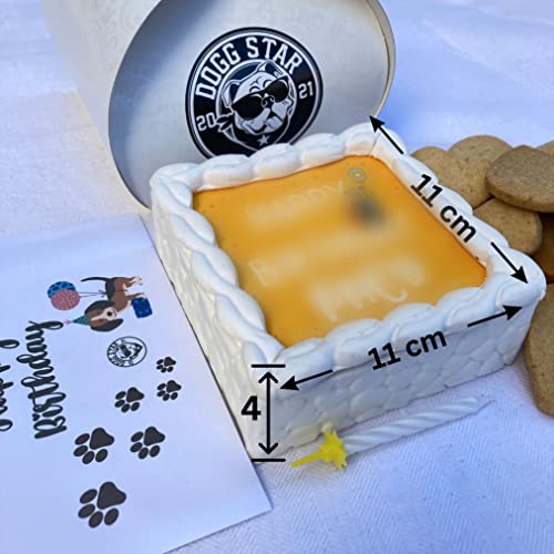 Torta per Cani C005- Box Compleanno Torta e