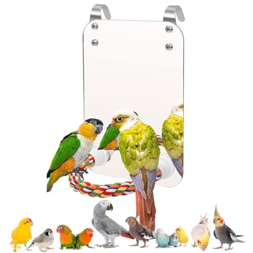 Norhogo Miroir en Acrylique pour Perroquets - Avec Perchoir et Support pour Cage - Corde Avec Miroir - Jouet pour Perruches, Gris du Gabon et Conures