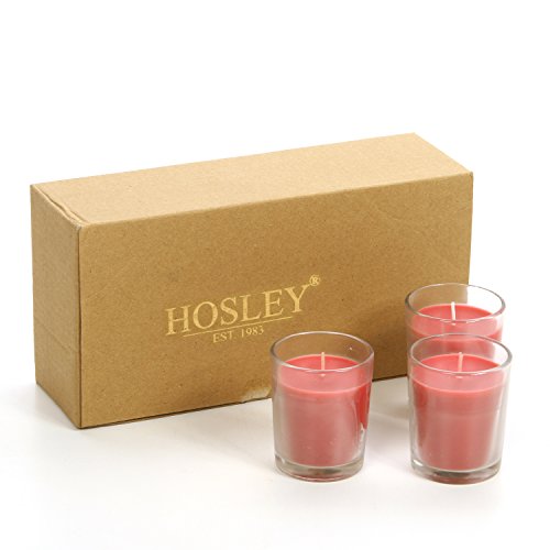 Hosley's Set of 8, Clear Glass Filled Apple Cinnamon Fragrance Votive Candles