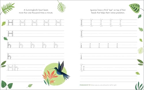 Save 35% on Print Penmanship Workbook for Kids with Fun Animal Facts - Image 4