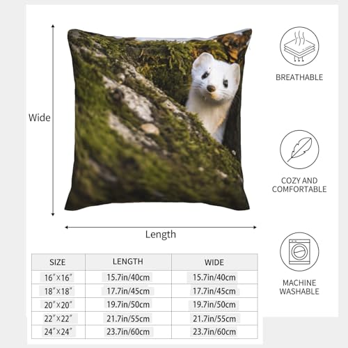 Housse de coussin belette EdWal lot de 2 pour canapé