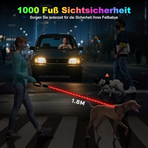 YFbrite wasserdichte Hundeleine mit Beleuchtung und 15 Blinkmodi – Superhelle LED-Hundeleine für kleine, mittelgroße und große Hunde – Wiederaufladbare Hundeleinen Typ C mit Licht (6ft(180cm))