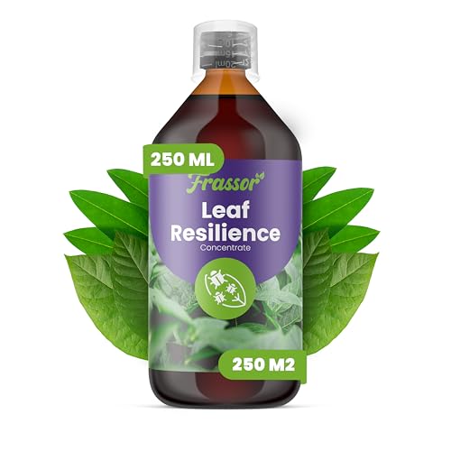 Concentrado Foliar Resiliencia De Hojas para mantener tu jardín urbano siempre verde y vigoroso