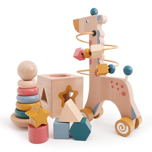 Image of MONJOY 3-in-1 Wooden Montessori Toy for 1+ Year Old Toddlers - Learning and Baby Toy