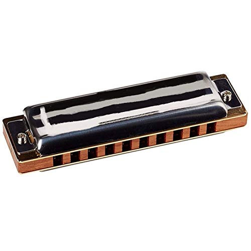 KIRANDIE Harmonica Blues Harpe diatonique Harmonica 10 Trous Instruments de Musique 20 Tons - Les Beatles, Paul McCartney, John Lennon, RIngo Starr, George Harrison KIRANDIE Harmonica Blues Harpe diatonique Harmonica 10 Trous Instruments de Musique 20 Tons – Image 3