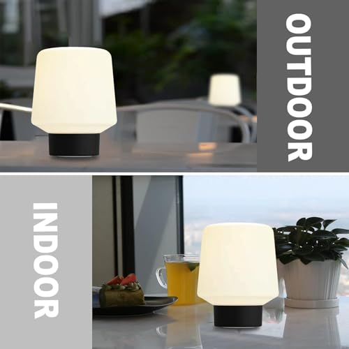 Image of Black Mushroom Lamp,Cute Cordless Rechargeable Table Lamp | 3 Color Tamps,LED Dimmable Ambient Lighting,Small Retro Touch Bedside Light for Bedroom Decor