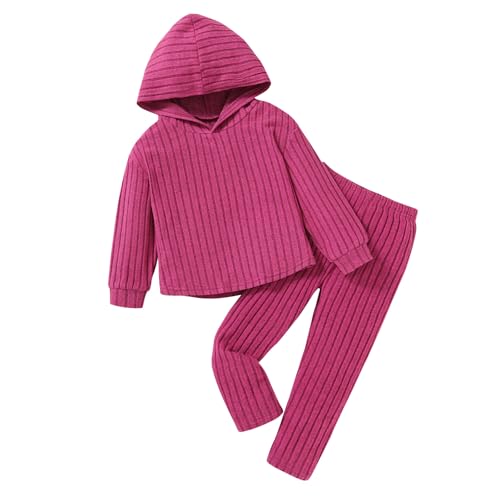 Image of Toddler Girl Fall Winter Outfit Set Stripe Solid Hoodie Pants Clothes Kids 2Pcs Sweatshirt Suit
