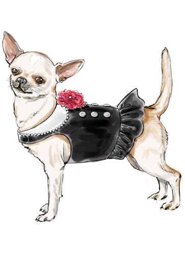 SIMPLICITY Schnittmuster SS9970A Hundemäntel A (XXS-XS-S-M)