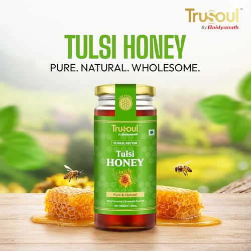 Image of TruSoul Pure & Natural Tulsi Honey 500g | Wild Forest Sourced | Natural Immunity Booster | Raw & Unprocessed Honey | No Adultration | Glass Jar | Lab Certified (Pack of 3)