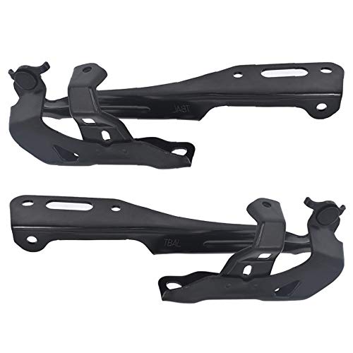 labwork Driver and Passenger Side Black Hood…