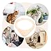 LIOOBO Cat Climbing Cat Scratching Post for Large Cats Detachable Cat Frame to Has Cat Tree Cats Soft for Cats Sisal Rope for Cat Scratcher Climber Mounted Indoor Bed Steel Wooden Beige