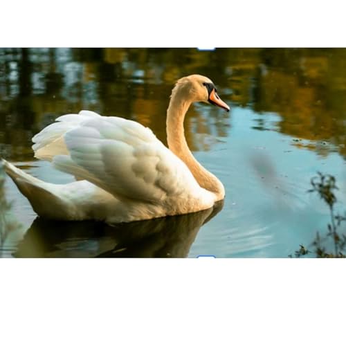 Selah, The Gift of Stillness