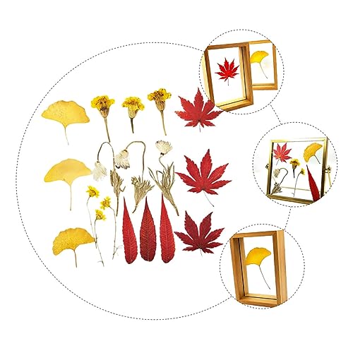 ABOOFAN 54 Peças Conjunto De Folhas De Outono Folhas Reais Adesivos Álbum De Recortes De Casamento F