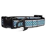Kurgo Wander Reflective Dog Collar, Small, Blue