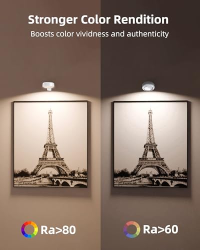 EZVALO Picture Lights for Wall,2000mAh Rechargeable Battery Magnetic Poster Lights with 3 Color Temps&12 RGB,Remote Dimmable Timer Painting Light - Image 9