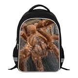 Cool Spider backpack Crazy Bookbag Children Outdoor Back Pack Students School Bag Day Pack