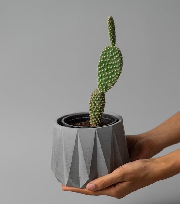 Image of Little Jungle X CuteCrete Sage Concrete Planter For 3 inch - 4 inch Pots (Yellow) | | flower pots for home decoration | Balcony Decor | Garden