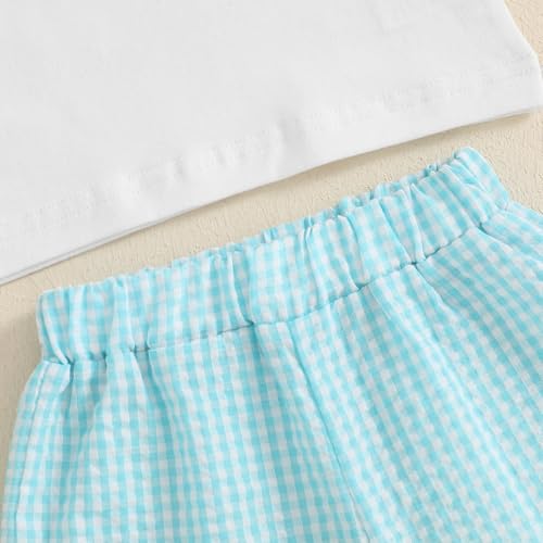Image of Toddler Baby Boy Easter Rabbit Outfit Short Sleeve Bunny Carrot Smocked T-shirt Elastic Waist Shorts Summer Clothes