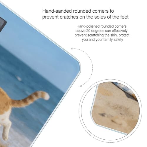 Báscula Digital de Baño Beach Cat Fun 400 lb miniatura 4