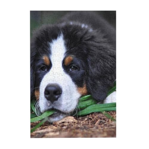 Rompecabezas de madera antiestrés de perro Bernés de 300 piezas 3