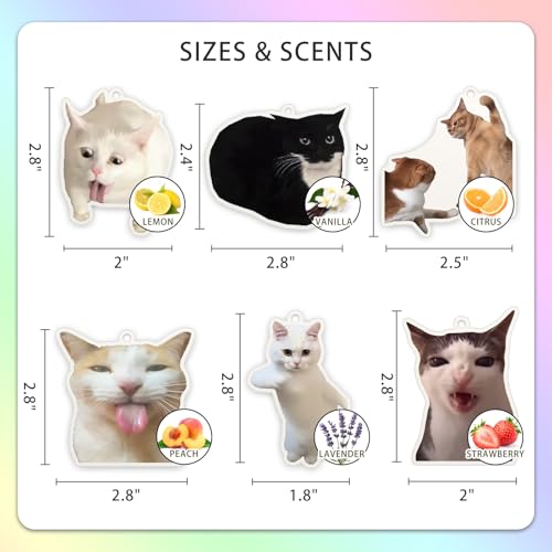 Image of 6Pcs Cat Car Air Freshener Cute Ornaments Funny Car Hanging Accessories | 6Pcs Funny Car Air Freshener for Women Cute Ornaments Cat Meme Personalized Car Hanging