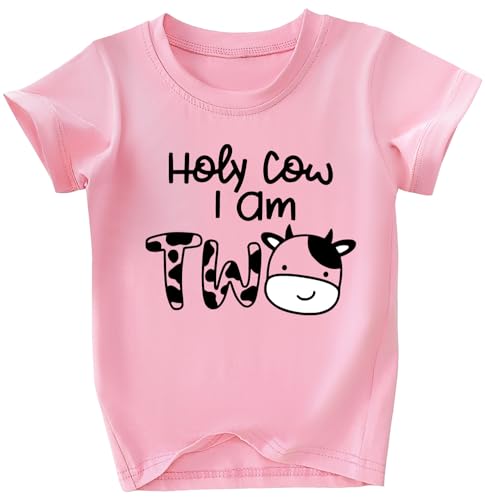 Image of Toddler Girls 2nd Birthday Shirt Outfit for Girls Cute Two Years Old Birthday Gift