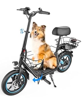 electric bike and scooter