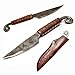 Coltello da caccia a lama fissa di Toferner – tagliacarte – Forgiato a mano & Vintage Look – Lama a punta ultra affilata – Elegante stile anticato – Inclusa custodia in vero cuoio