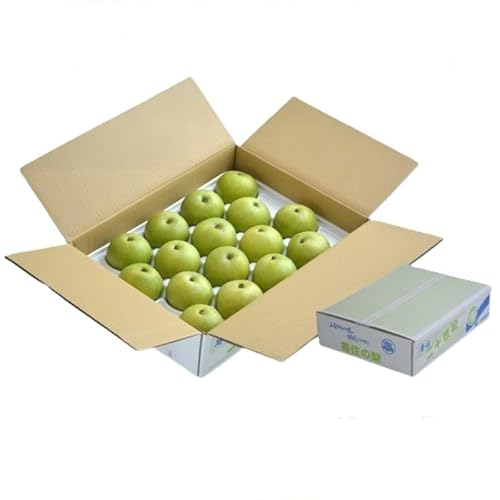 [2026年産 先行予約] 梨 二十世紀梨 約5kg 10〜20玉 1玉250〜500g [令和8年8月下旬以降発送予定] JAたじま 12-25