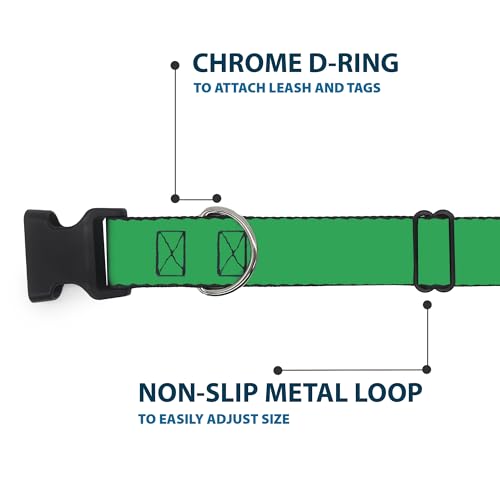 Collier pour chien anti-irritation Buckle-Down sangle large 3.8 cm