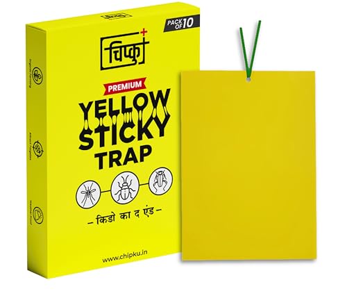 Chipku Yellow Sticky Traps – 10 Rectangle Traps | Eco-Friendly Insect Catchers for Gnats, Aphids & Whiteflies | Long-Lasting, Non-Toxic Plant Protection