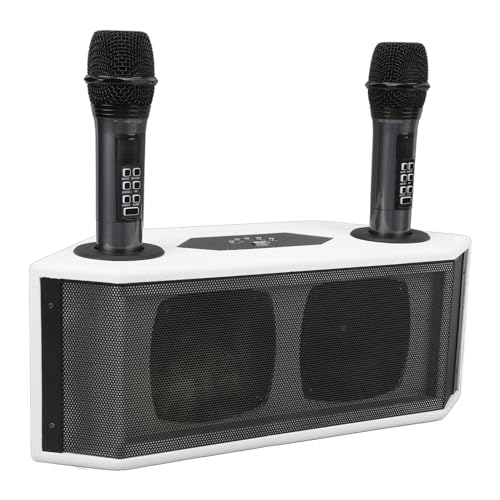 Conjunto de Alto-falantes Com Microfone, Máquina de karaokê Em Modo DSP Com Microfones Brancos para
