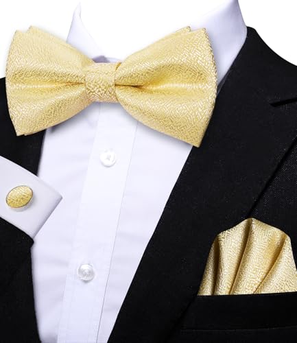 Image of Hi-Tie Bow Ties for Men Pre-Tied Pocket Square with Cufflinks Mens Bowtie Sets for Wedding Formal Party