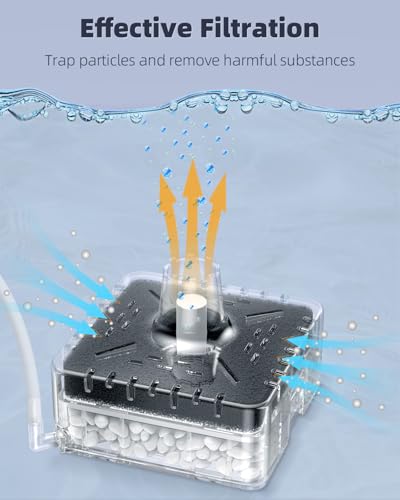 Image of Pawfly Aquarium Sponge Filter, Small Fish Tank Filter with Foam and Air Stone, Sponge Filter for Fish Tanks up to 5 Gallons (Air Pump Not Included)