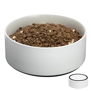Kitwinney Non Slip Dog Bowls, Ceramic Dog Food Bowl with Silicone Base, 8″ Large Dog Water Bowl No Spill, Heavy Modern Pet Feeding Bowl for Medium-Sized Dogs and Large Breed, Microwaveable (White)